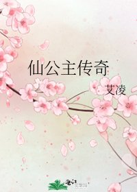 仙公主传奇
